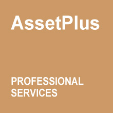 Profession Services